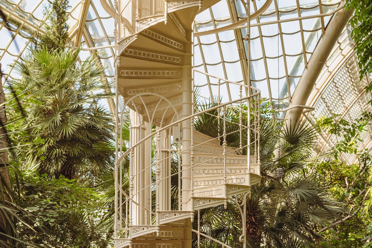 White cast-iron spiral staircase among fan palms under a curved glass roof